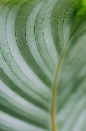 Business Coaching für Führungskräfte