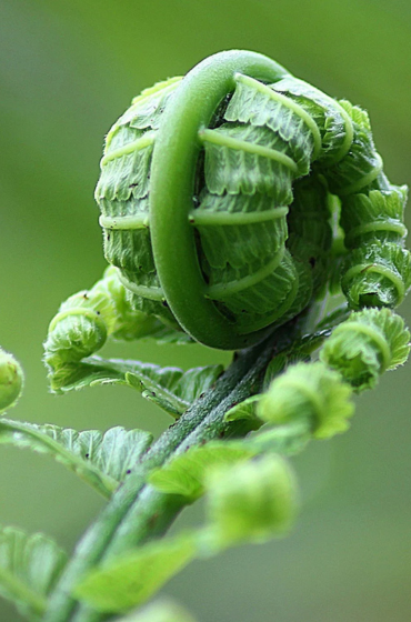 Von der Stagnation zum Wachstum