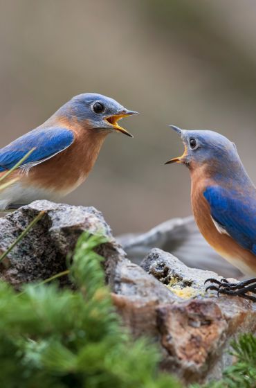 Wenn die Beziehungsebene trägt, hält sie auch einem Konflikt stand