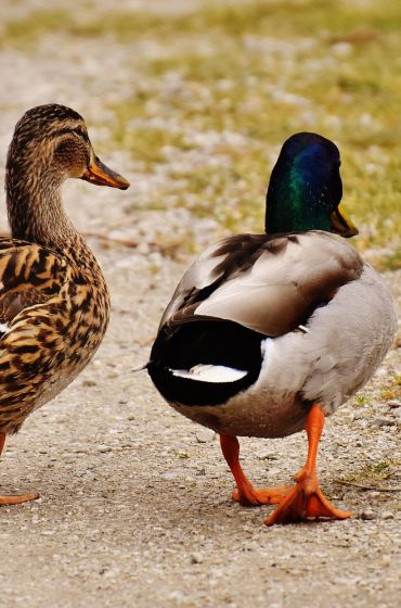 Gemeinsam in eine Richtung blicken und gemeinsam vorangehen