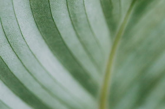 Führungskräfte Coaching im Workshop